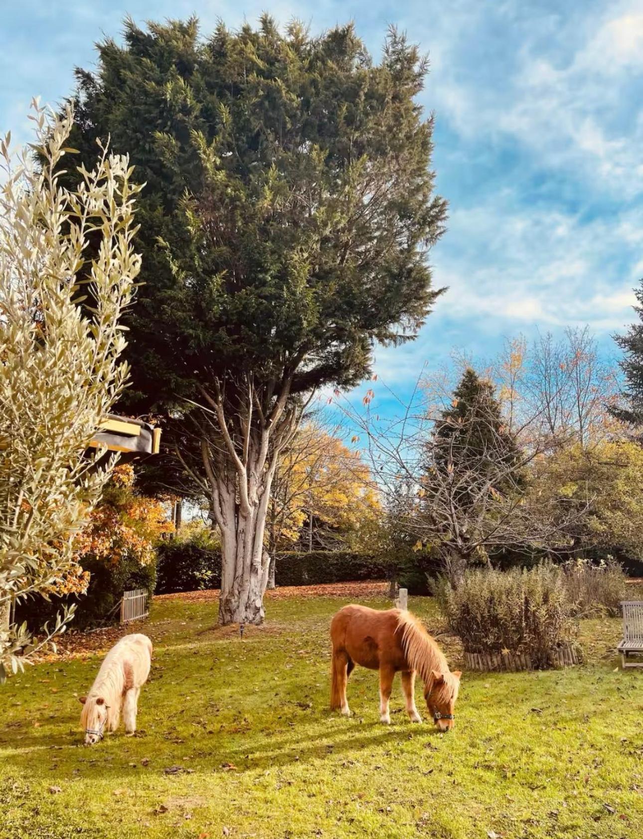 Cottage Normand Avec Sa Grande Piscine Chauffee Toute L Annee Sur Parc Arbore Et Clos En Plein Coeur De La Campagne Adapte Aux Kids Et Dog Friendly Saint-Antonin-de-Sommaire Exterior foto